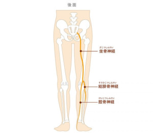 画像 51