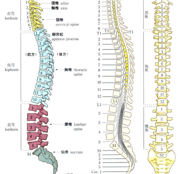 画像 70