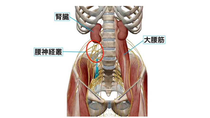 画像 128